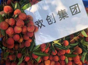 夏日好“枝”味，开云官方网页版,开云（中国）
集团发福“荔”啦