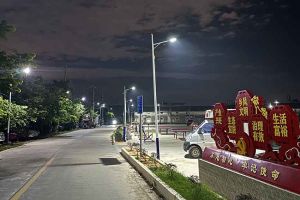 开云官方网页版,开云（中国）
集团罗宁弟爱心捐赠路灯，点亮乡村路温暖乡民心