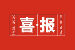 喜报！开云官方网页版,开云（中国）
集团党支部党建工作荣获多项市级表彰